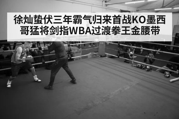 boxer training gym